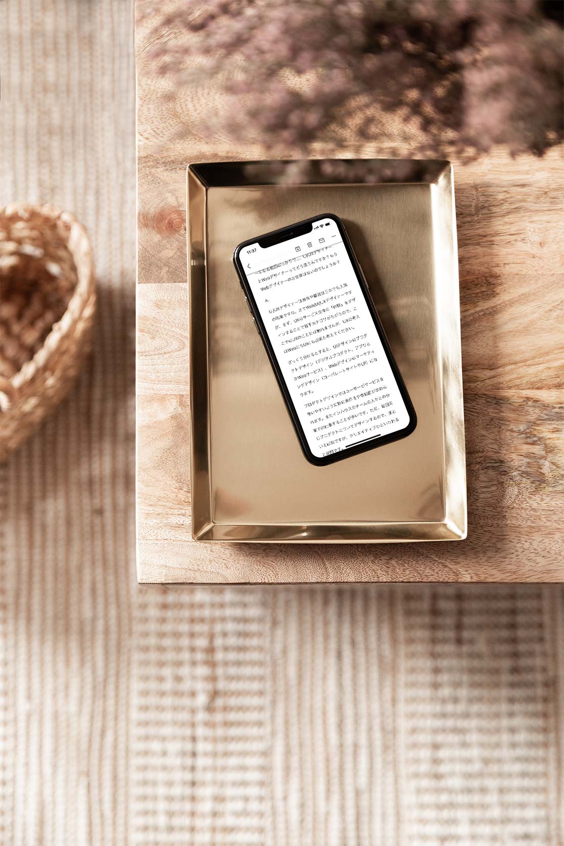 ニュースレター